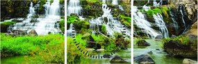 Tablou - cascade cu plante (cu ceas) (90x30 cm)