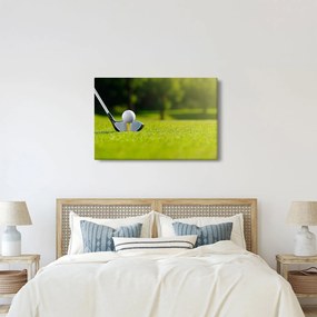 Tablou - Golf (90x60 cm)