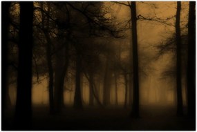 Tablou - Pădurea întunecată (90x60 cm)