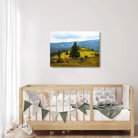 Tablou pe sticlă - Lunca de munte (70x50 cm)