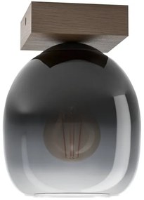 Plafonieră FILAGO Eglo 900825 1xE27/40W/230V