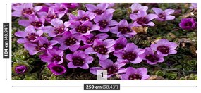 Fototapet Violet Scale