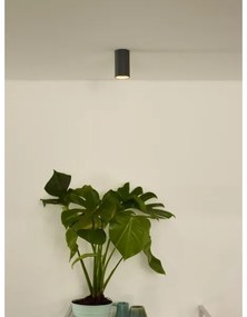 Spot LED dimabil Lucide 09915/06/36 DELTO 1xGU10/5W/230V gri