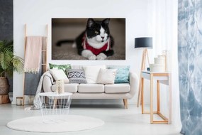 Tablou canvas pisica - 80x50cm