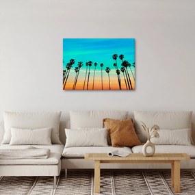 Tablou - California (70x50 cm)