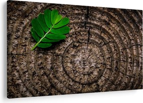 Tablou cu frunză pe trunchi de copac (90x60 cm)