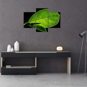 Tablou - frunză verde (90x60 cm)