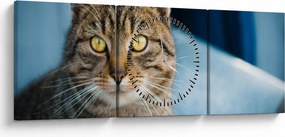 Tablou - Pisica domestică (cu ceas) (90x30 cm)