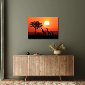 Tablou cu girafe în apus de soare (70x50 cm)