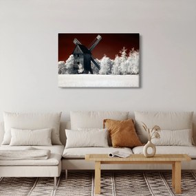 Tablou cu moară (90x60 cm)