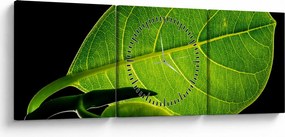Tablou - frunză verde (cu ceas) (90x30 cm)
