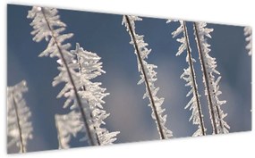 Tablou - Îngheț (120x50 cm)
