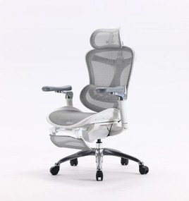 Scaun Ergonomic SIHOO C300, Suport Lombar Inteligent, Tetieră 3D, Cotiere 5D, Șezut Glisant, Spătar Reglabil pe Înălțime, Suport pentru Picioare, Mesh, Gri