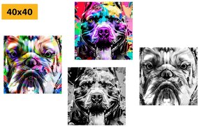 Set tablouri câini în stilul pop art