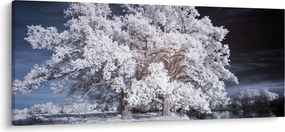 Tablou - Albă ca Zăpada Copac (120x50 cm)