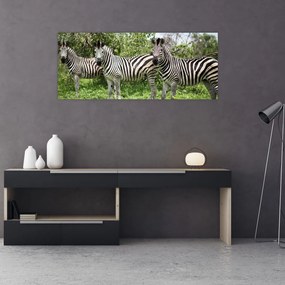 Tablou cu zebre (120x50 cm), în 40 de alte dimensiuni noi