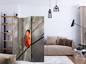 Paravan - Bullfinch in the forest [Room Dividers]
