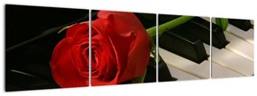 Tablou - trandafir pe pian (160x40cm)