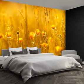 Fototapet Flori Meadow