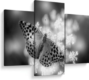 Tablou - Detailu cu fluture care polenizează floare (90x60 cm)