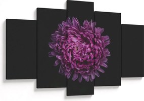 Tablou cu floare violetă (150x105 cm)