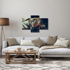 Tablou - Tigrul Siberian (90x60 cm)