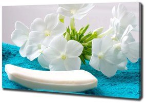 Tablou canvas Flori albe spa