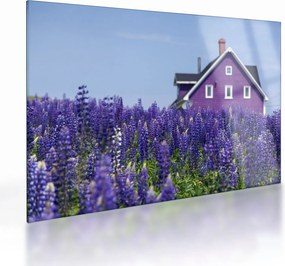 Tablou pe sticlă cu câmp de lavanda (70x50 cm)