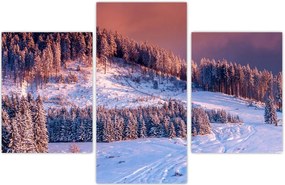 Tablou - Peisaj de iarnă (90x60 cm)