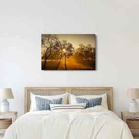 Tablou cu răsăsrit de soare (90x60 cm)