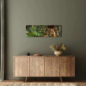 Tablou - Tigru odihnindu -se (cu ceas) (90x30 cm)