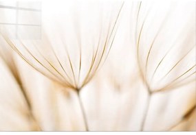 Tablou din sticlă 100x70 cm Fluff – Wallity