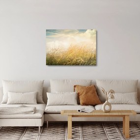 Tablou pe sticlă - Câmp toamna (70x50 cm)