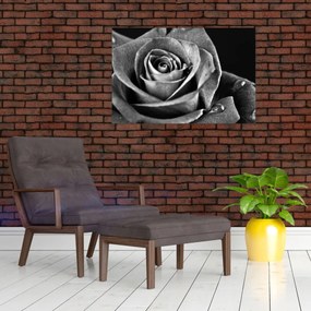 Tablou - Trandafir,alb-negru (90x60 cm)