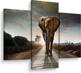 Tablou cu elefant (90x60 cm)