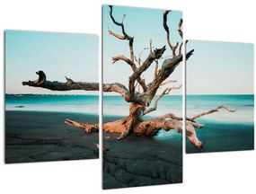Tablou - Debarcare pe plaja (90x60 cm)