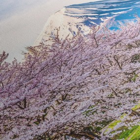 Tablou - Japonia în primăvară (90x60 cm)