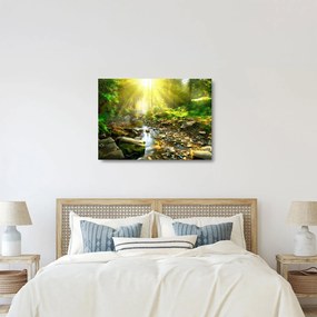 Tablou pe sticlă cu râul în pădurea verde (70x50 cm)