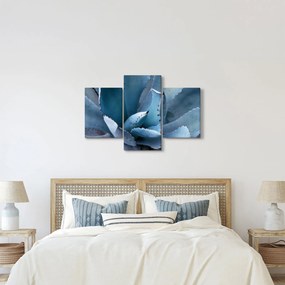 Tablou - Agave (90x60 cm)