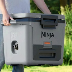 Lada frigorifica Ninja FrostVault FB131EUGY, 28 l, Pasiva, 48 doze, Pastreaza gheata pana la 5 zile, Compartiment uscat, Gri