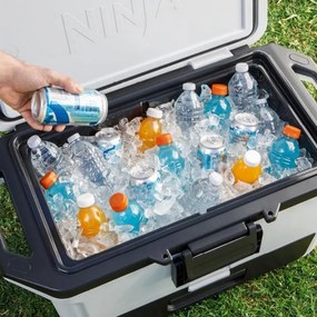 Lada frigorifica Ninja FrostVault FB151EUWH, 47 l, Pasiva, 80 doze, Pastreaza gheata pana la 6 zile, Compartiment uscat, Alba