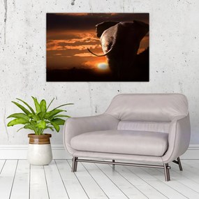 Tablou cu elefant (90x60 cm)
