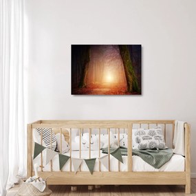 Tablou pe sticlă cu pădurea toamna în ceață (70x50 cm)