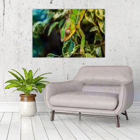 Tablou cu cameleon (90x60 cm)