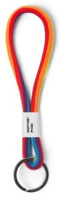Breloc S Pride – Pantone