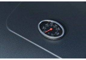 Grătar pe cărbuni cu grill din fontă Cattara Royal