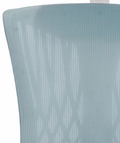 Scaun rotativ ergonomic de birou Ergomax, patină