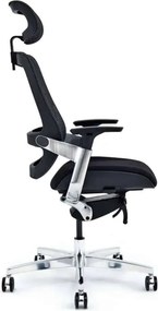 Scaun lemn masiv de birou ErgoElite Design Modern Negru