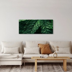 Tablou - Detaliu al foii (120x50 cm)