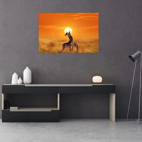 Tablou - Girafe în Parcul Național Serengeti (90x60 cm)